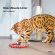 Automatic Interactive Cat Toy Snake with Smart Sensor | USB Rechargeable Moving Snake Toy for Cats