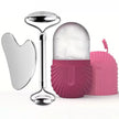 Facial Gua Sha Roller Set with Stainless Steel Massage Tool and Ice Face Roller Beauty Kit