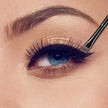 2-Piece Angled Eyeliner Brush Set – Precision Slanted Makeup Brushes for Eyeliner, Brows & Detail Work (Black or Silver)