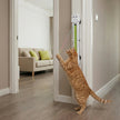 Fully Automatic Giraffe Cat Teasing Machine | Interactive Wall Mounted Rope Toy for Cats