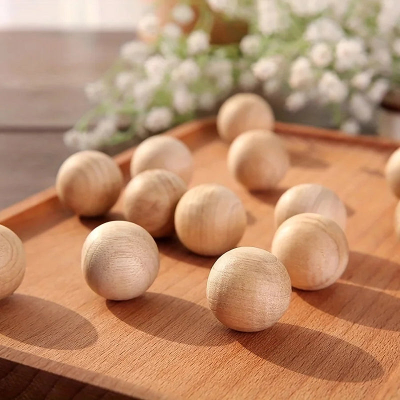 5Pcs Camphor Wood Blocks for Insect Prevention – Household Moth Repellent Balls for Wardrobes & Storage Areas