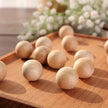 5Pcs Camphor Wood Blocks for Insect Prevention – Household Moth Repellent Balls for Wardrobes & Storage Areas