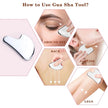 Facial Gua Sha Roller Set with Stainless Steel Massage Tool and Ice Face Roller Beauty Kit