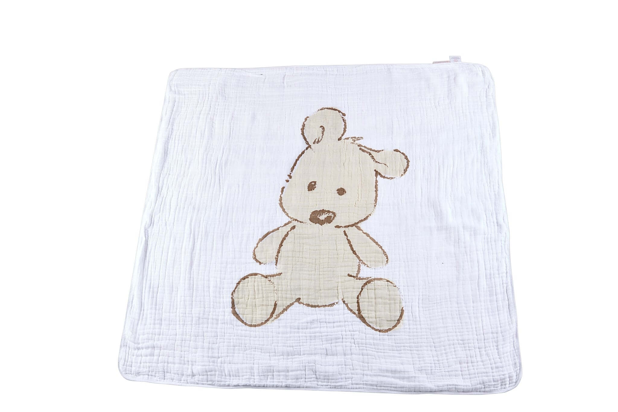 Teddy Bear Blanket