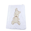 Teddy Bear Blanket