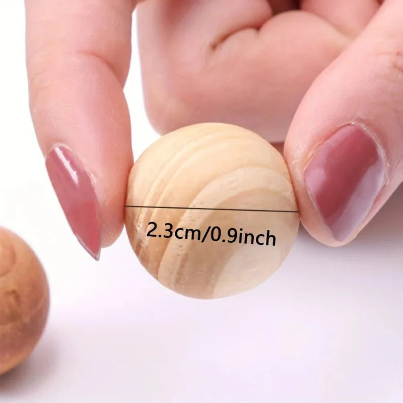 5Pcs Camphor Wood Blocks for Insect Prevention – Household Moth Repellent Balls for Wardrobes & Storage Areas