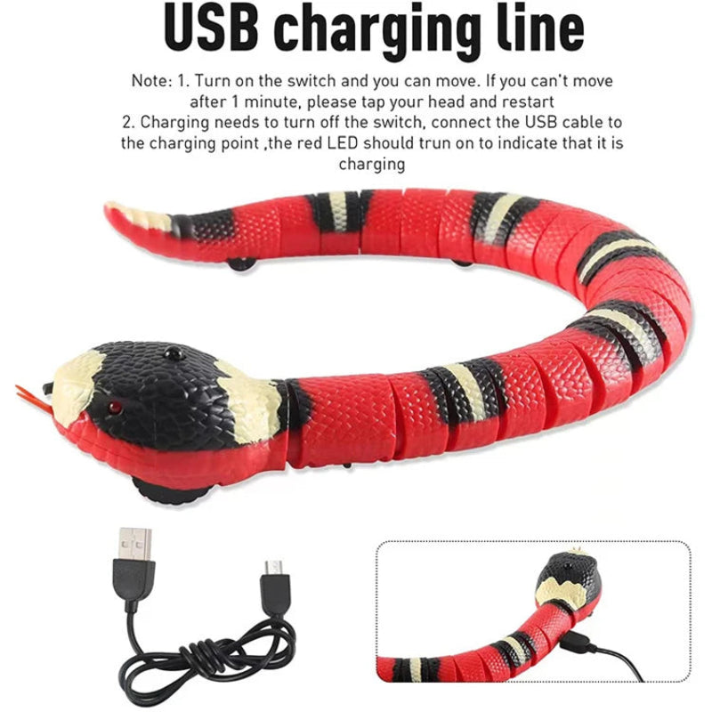 Automatic Interactive Cat Toy Snake with Smart Sensor | USB Rechargeable Moving Snake Toy for Cats