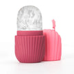 Ice Facial Roller Tool Skin Care Beauty Set with Micro Needle Facial Roller for Face & Beard Care