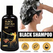Water Ke Lewn Black Hair Dye Shampoo 3in1 with Ginger & Biotin Long Lasting Gray Coverage Hair Color Shampoo