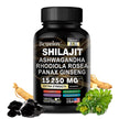 Bcuelov Shilajit Complex
