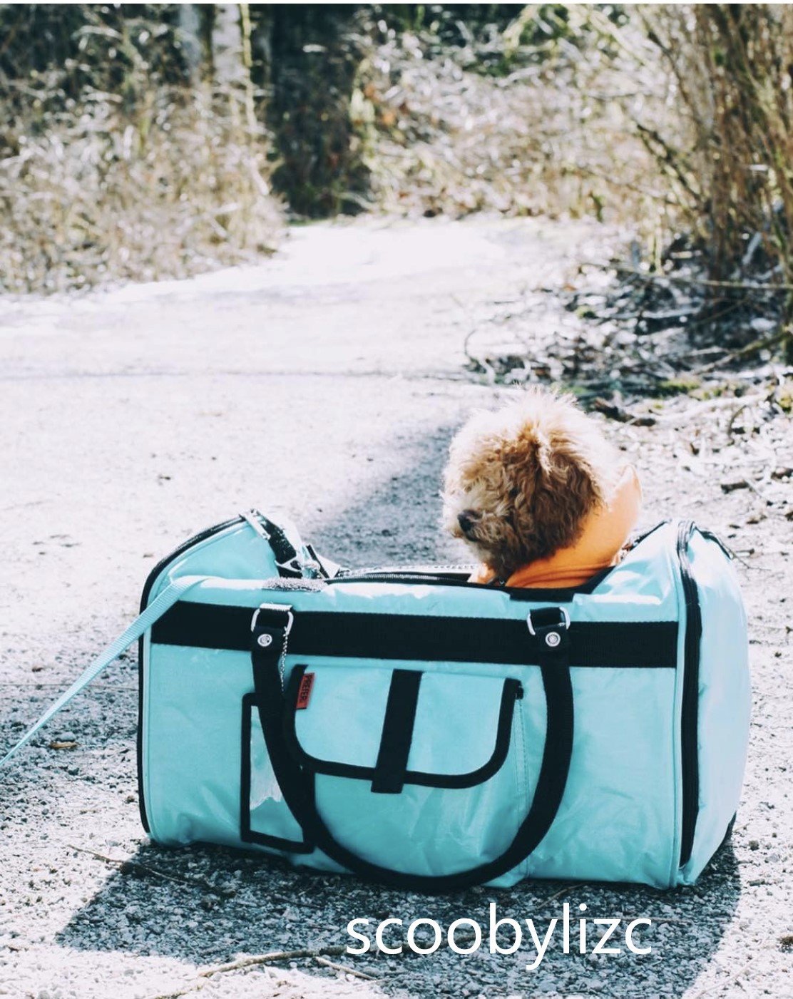 Hideaway 312 Pet Duffel