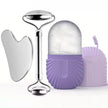 Facial Gua Sha Roller Set with Stainless Steel Massage Tool and Ice Face Roller Beauty Kit