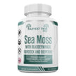 Harvest Twin Sea Moss with Bladderwrack, Burdock, and Bioperine – 60 Capsules