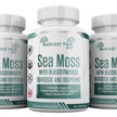 Harvest Twin Sea Moss with Bladderwrack, Burdock, and Bioperine – 60 Capsules