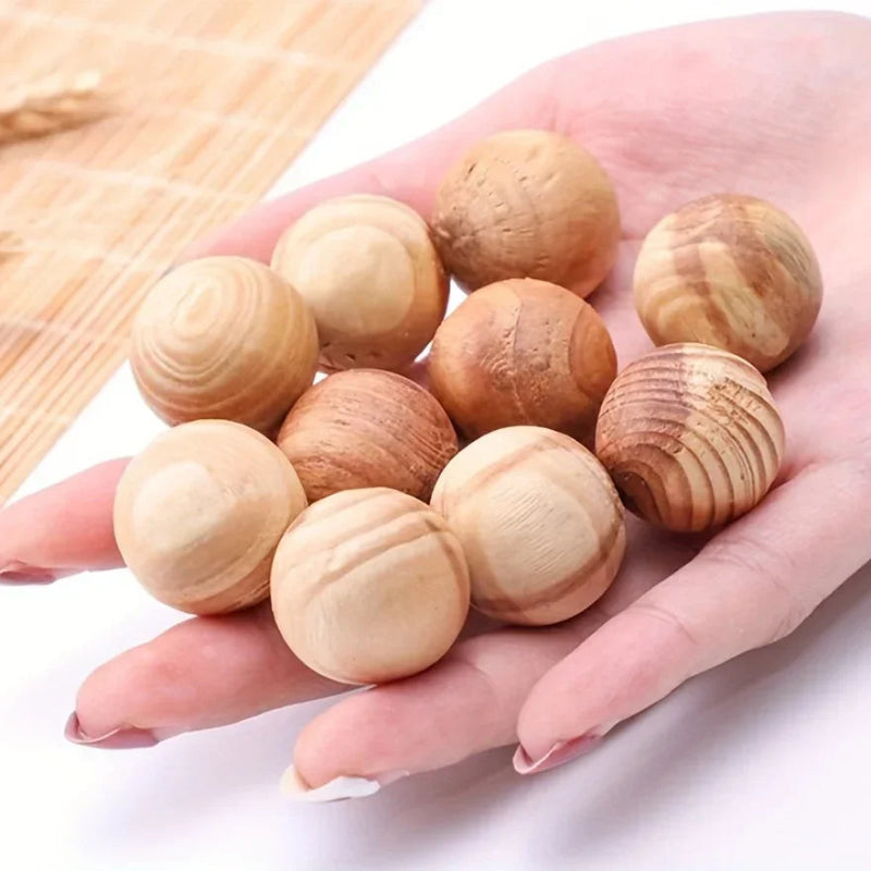 5Pcs Camphor Wood Blocks for Insect Prevention – Household Moth Repellent Balls for Wardrobes & Storage Areas