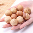 5Pcs Camphor Wood Blocks for Insect Prevention – Household Moth Repellent Balls for Wardrobes & Storage Areas