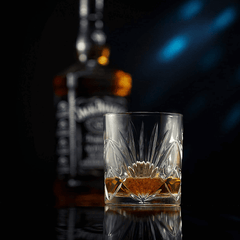 Coffret cadeau de pierres à whisky rafraîchissantes avec 2 verres en cristal de palmier 