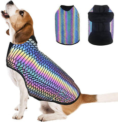 Le gilet holographique pour chien Lumination