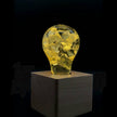 C.P.LIGHT Floral Glass Accent Lamp with Wooden Cube Base