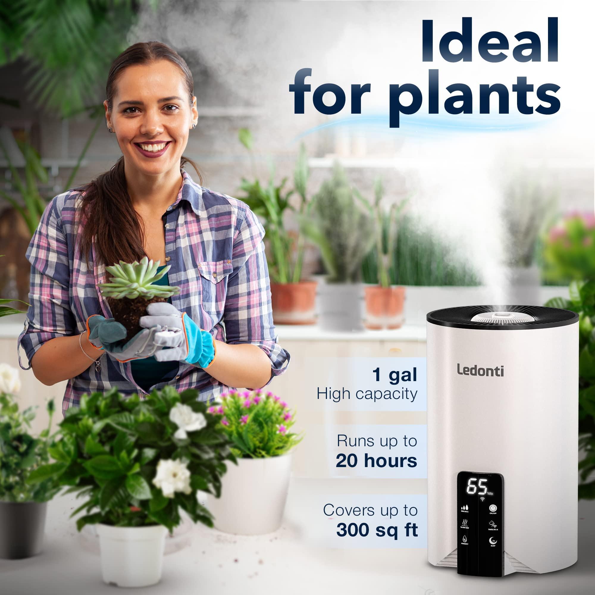 Humidificador de niebla inteligente