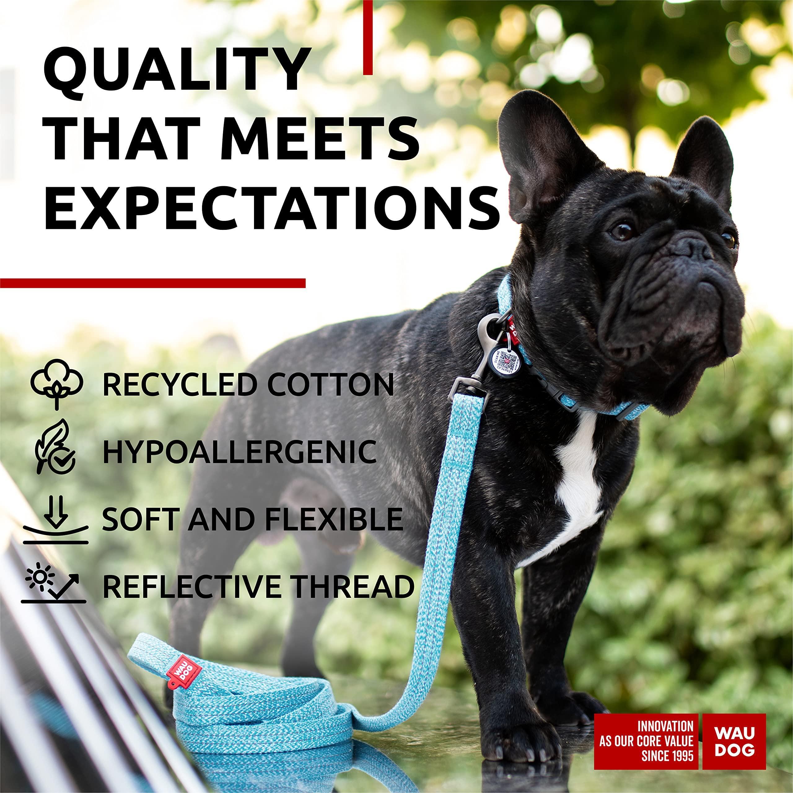 Eco Pup Leash