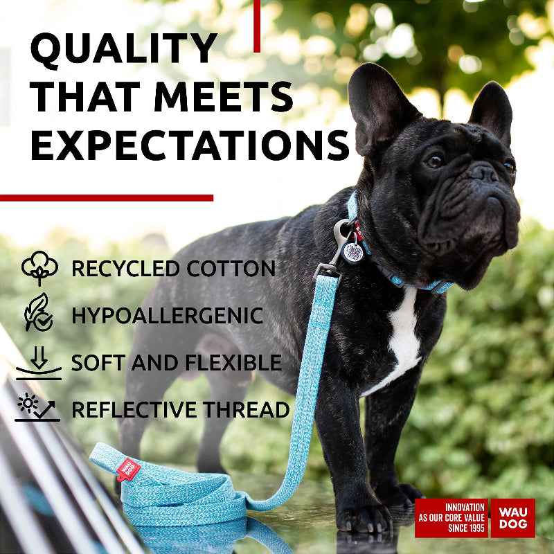 Eco Pup Leash