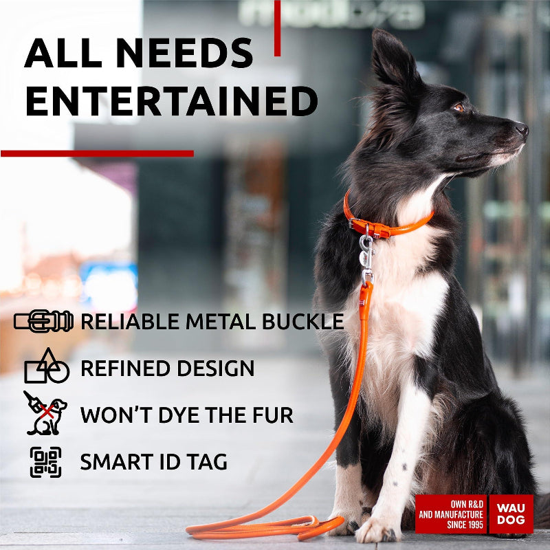 Ultra Leather Collar