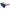 Zebrawood Stars & Bars Sunglasses