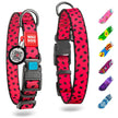 Adjustable Dog Collar