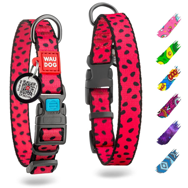 Adjustable Dog Collar