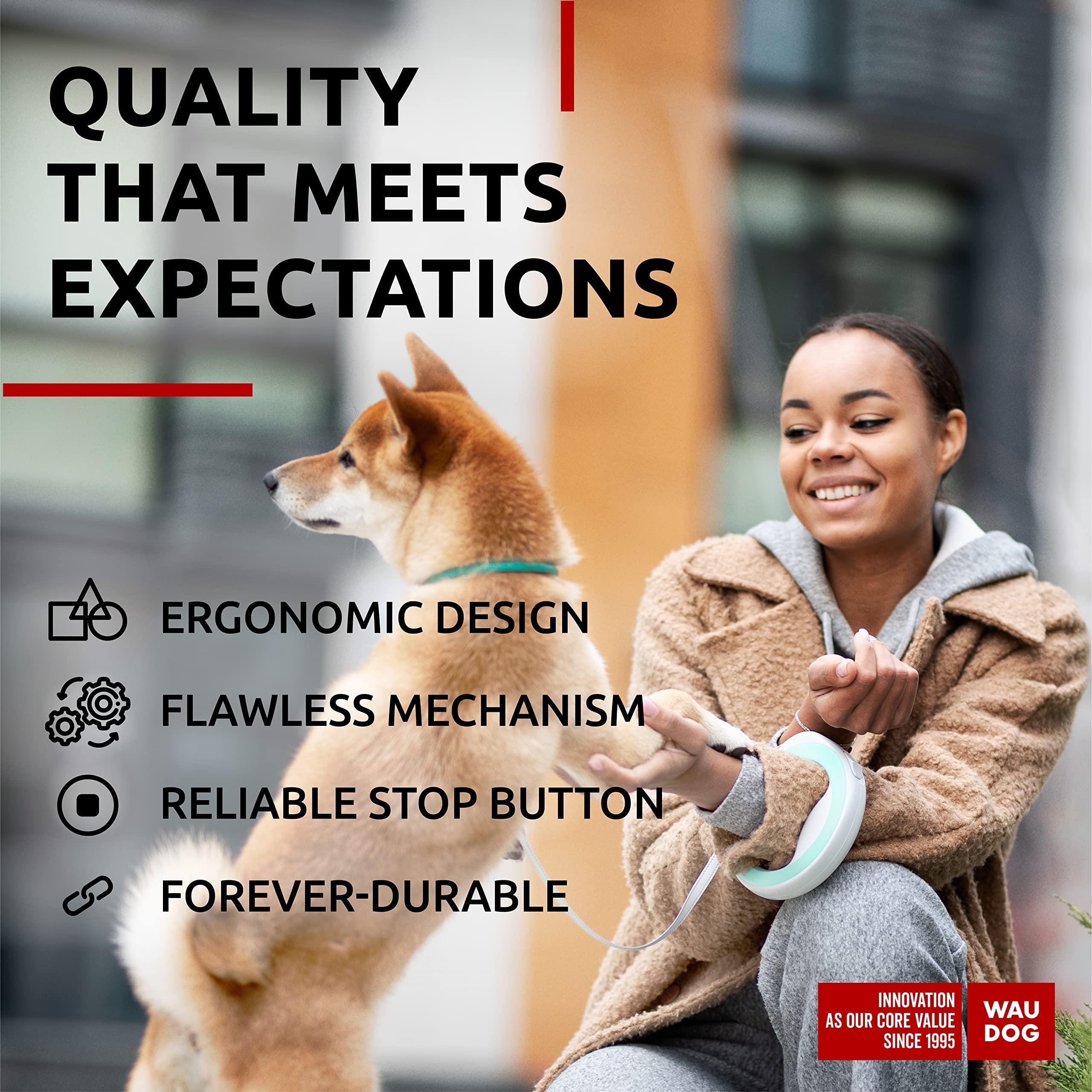 Hands-Free Dog Leash