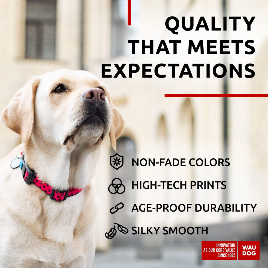 Adjustable Dog Collar