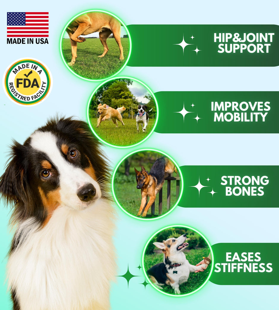 Suppléments pour hanches et articulations Pawious + glucosamine pour chiens 120 unités.