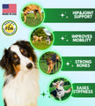 Suppléments pour hanches et articulations Pawious + glucosamine pour chiens 120 unités.