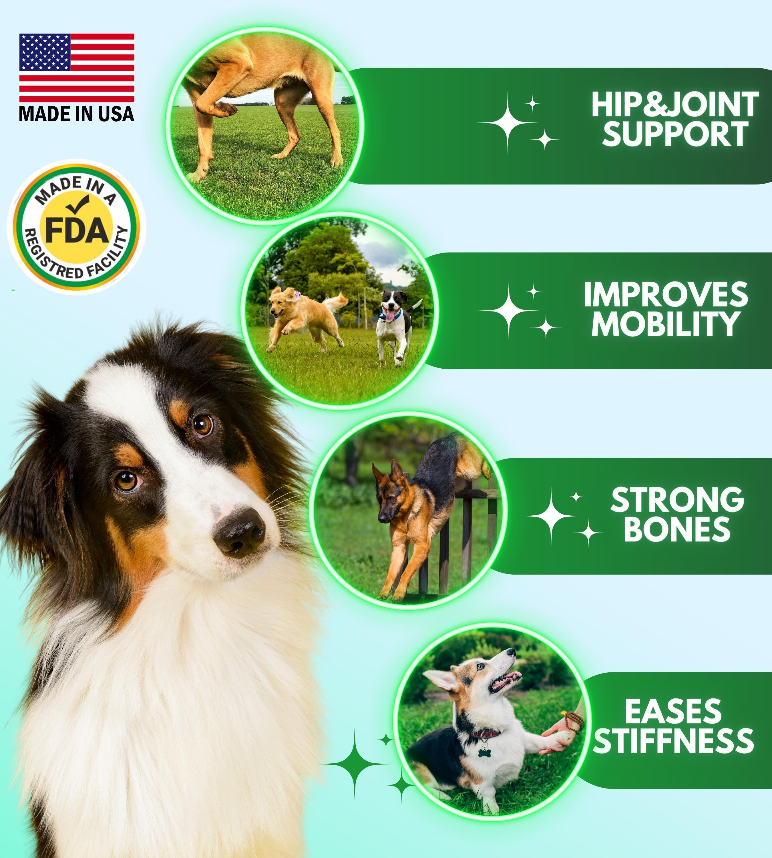 Suppléments pour hanches et articulations Pawious + glucosamine pour chiens 120 unités.