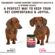 Suplemento natural de arándano para perros (180 comprimidos masticables)