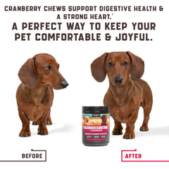 180 Cranberry Chews   Dog Cranberry Supplement   Natural Aid for