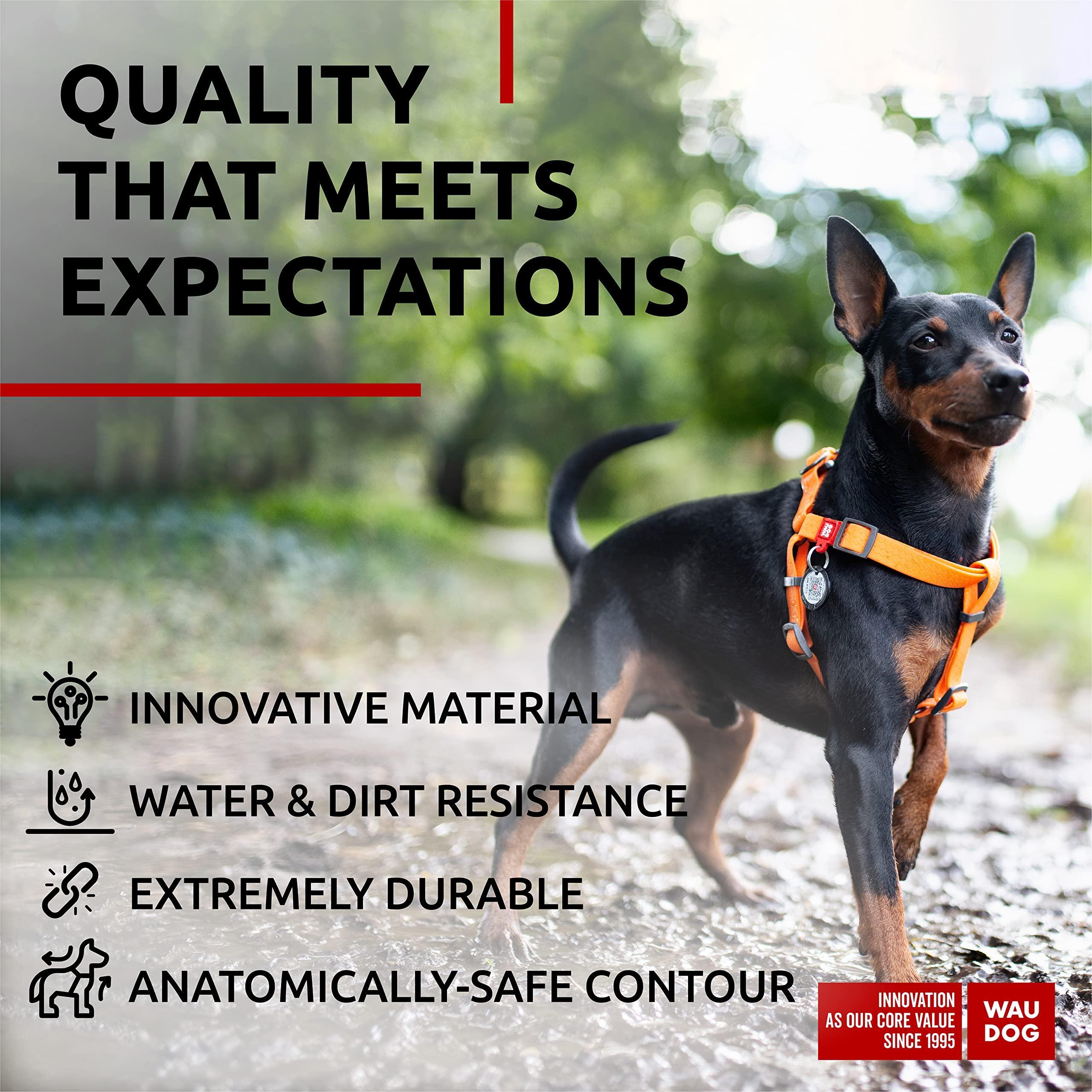 Adjustable Dog Harness Pro