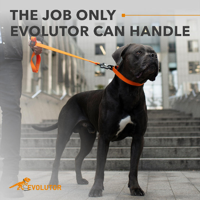 Evolutor Duty Leash