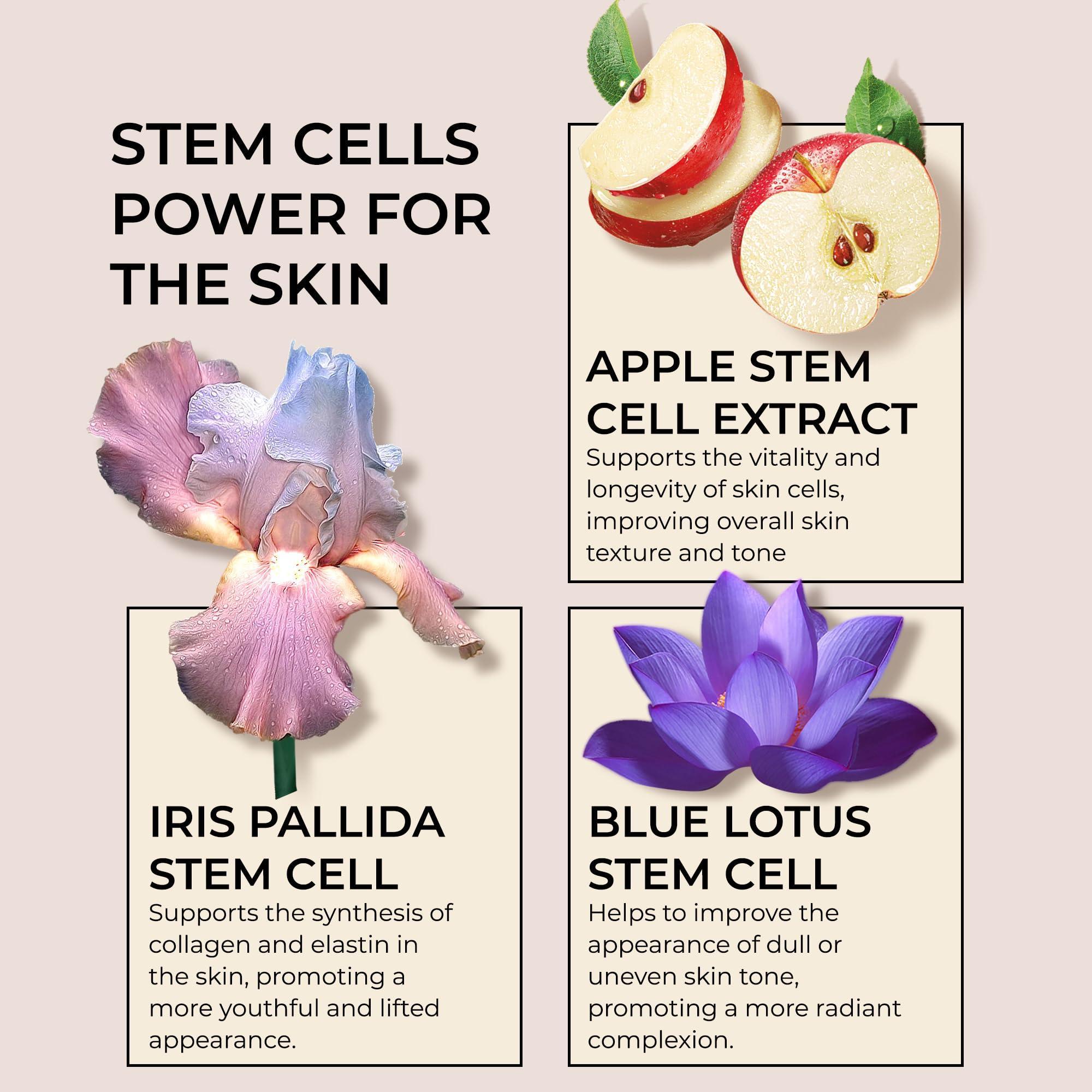 Collagen Stem Cell Cream