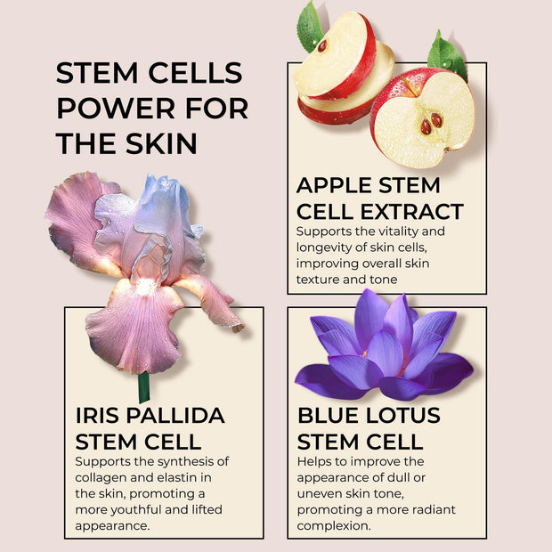 Collagen Stem Cell Cream