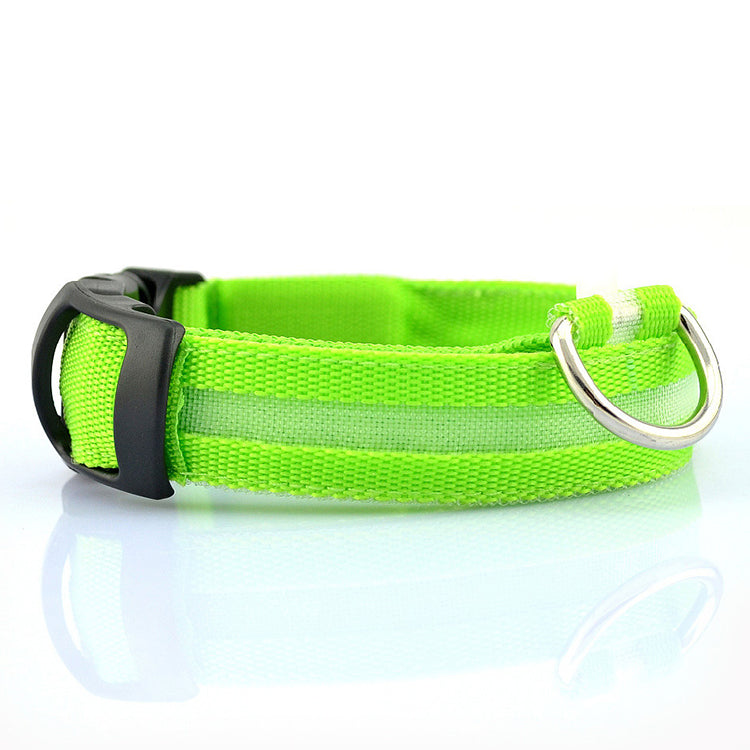 USB Rechargeable LED Dog Collar