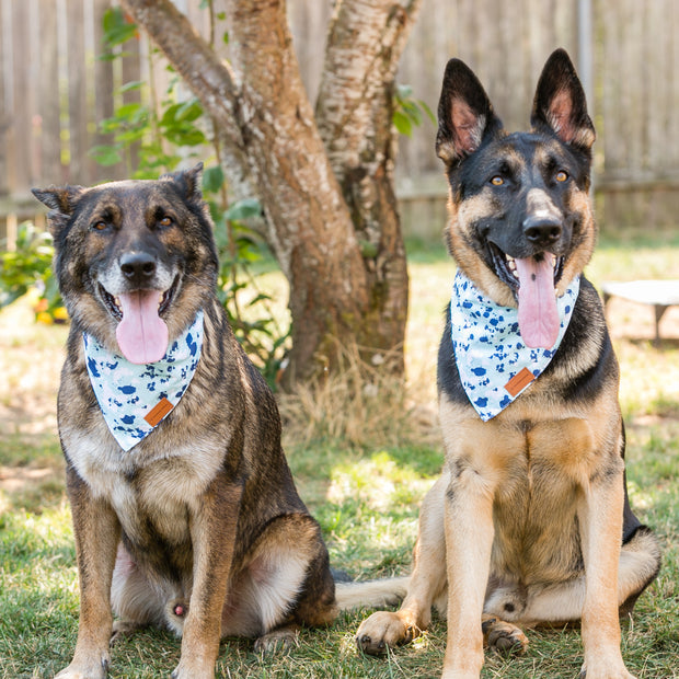Adjustable Dog Bandana