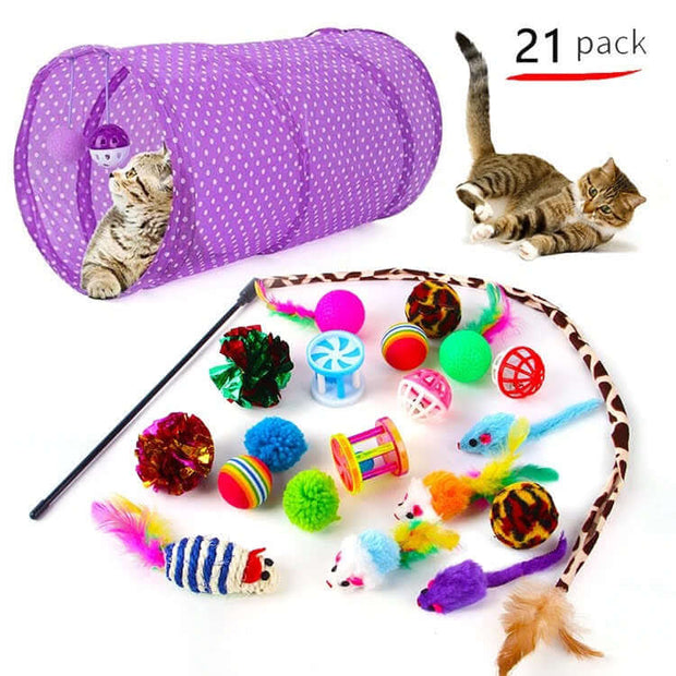 Assortiment de jouets interactifs pour chats