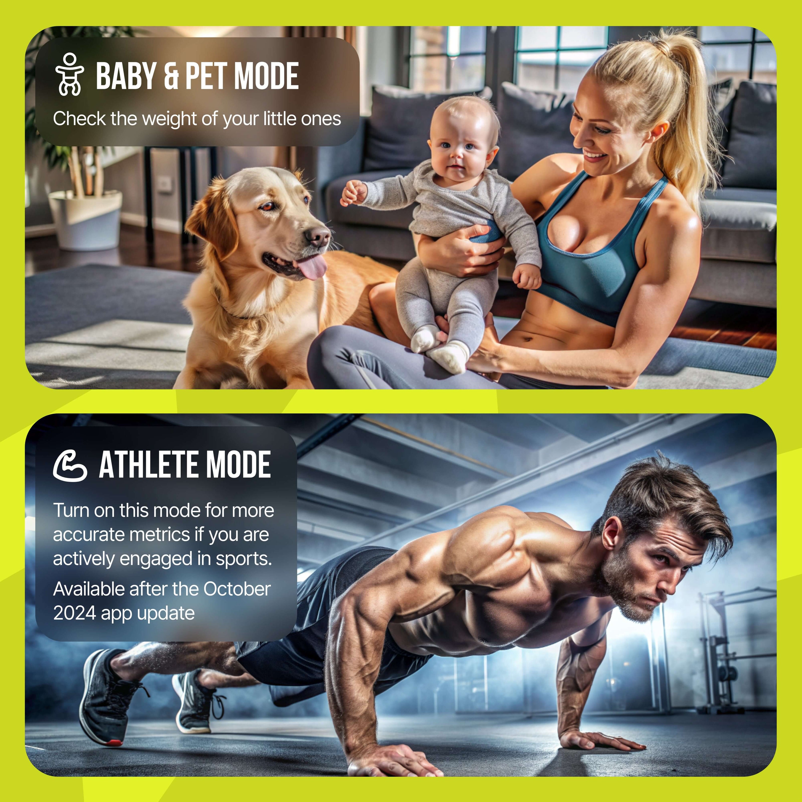 Precision Digital Scale