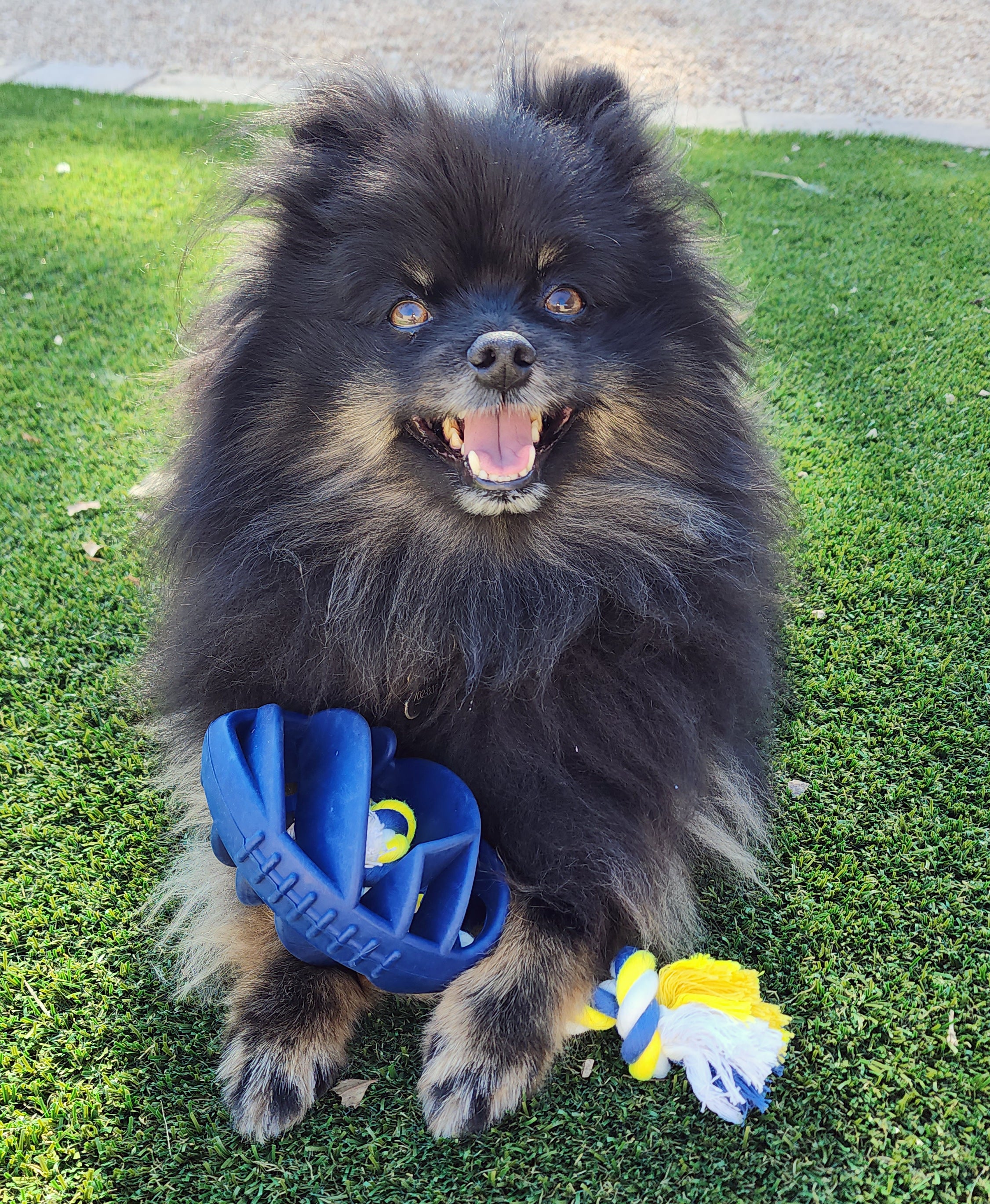 Juguete masticable de goma con forma de balón de fútbol para perros con cuerda para tirar
