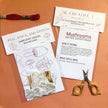 Mushroom Embroidery Kit