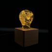 EP LIGHT Floral Resin LED Decorative Bulb Lamp with Wooden Base
