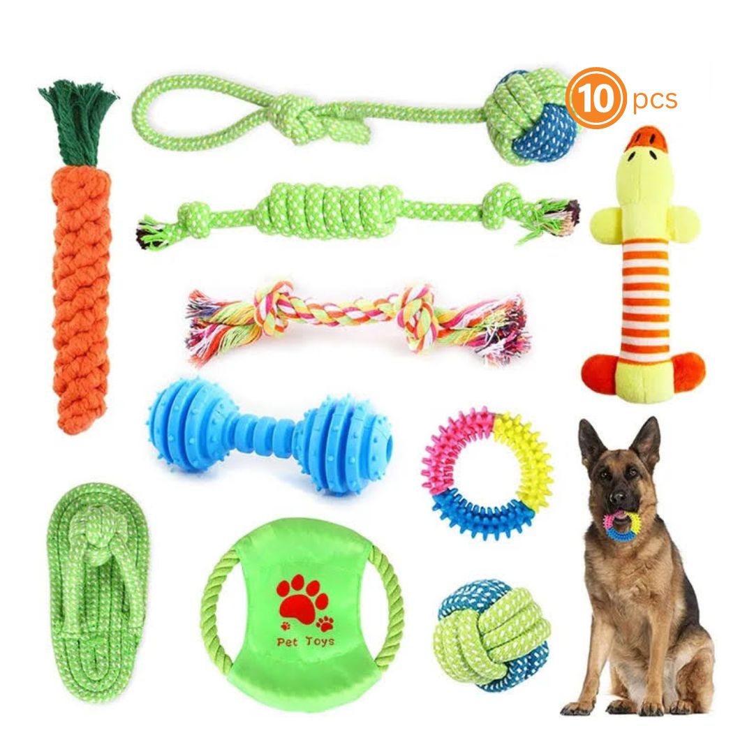 Durable Molar Chew Toys