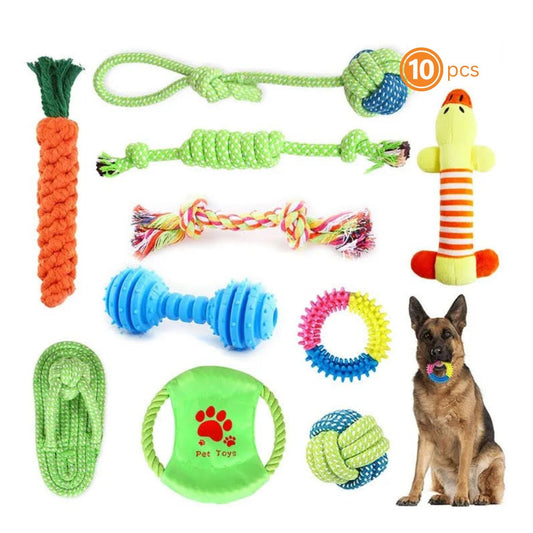 Durable Molar Chew Toys